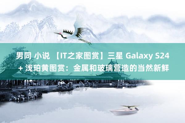 男同 小说 【IT之家图赏】三星 Galaxy S24 + 浅珀黄图赏：金属和玻璃营造的当然新鲜